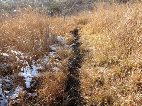 20191129hike (593)